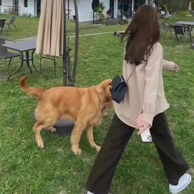 儿子的大玩偶