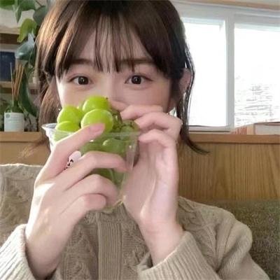 会飞的驴